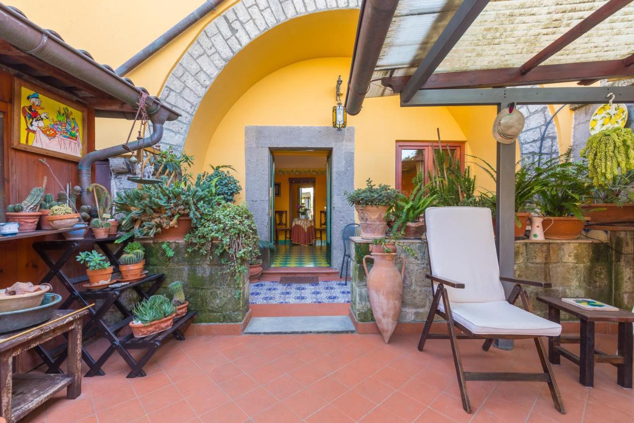 Orchid Corner Guesthouse Meta Dış mekan fotoğraf