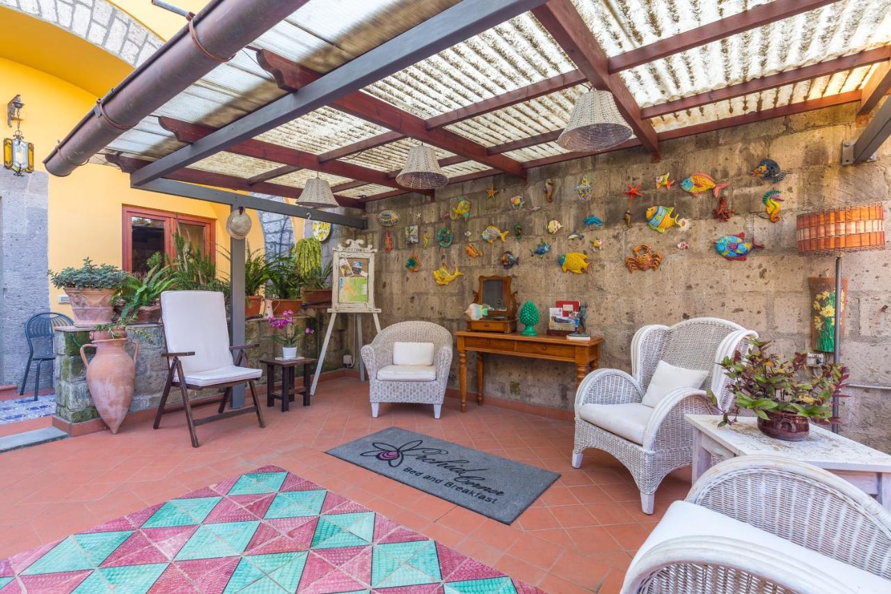 Orchid Corner Guesthouse Meta Dış mekan fotoğraf
