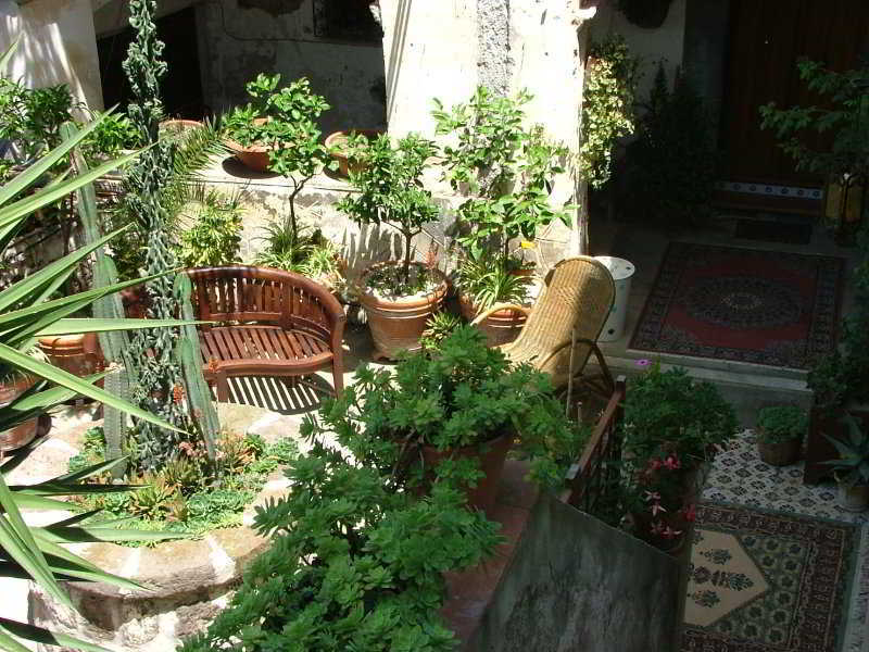 Orchid Corner Guesthouse Meta Dış mekan fotoğraf