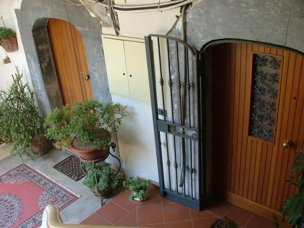 Orchid Corner Guesthouse Meta Dış mekan fotoğraf