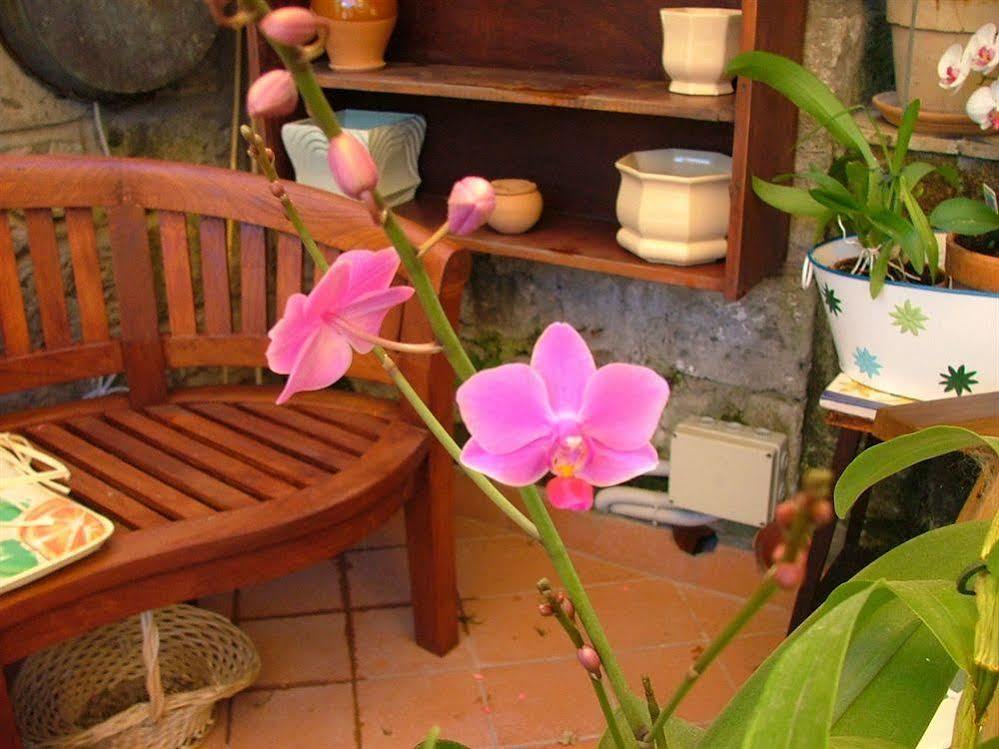 Orchid Corner Guesthouse Meta Dış mekan fotoğraf